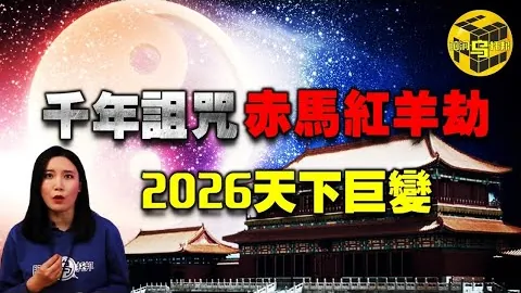 “马迷会规范活动秩序遭热议，官方道歉，体育盛事年度波折不断”